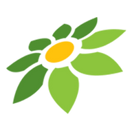CIKI MOD APK